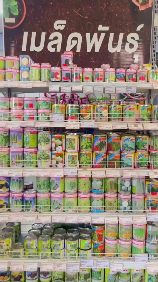 เมล็ดพันธุ์ พร้อมส่ง